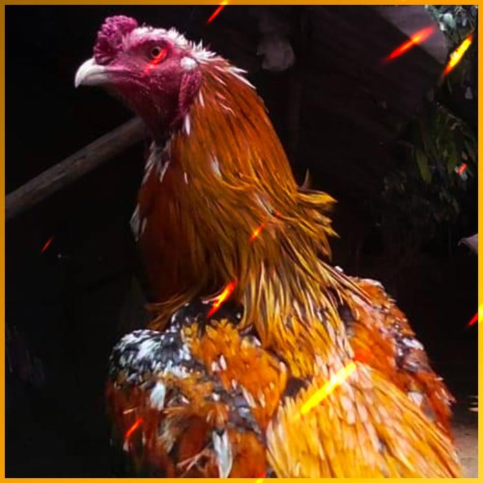 Superslot777 เครดิต ฟรี 30 ยืนยัน OTP ล่าสุด เล่นง่าย แจกหนักแข่งได้ทุกวัน