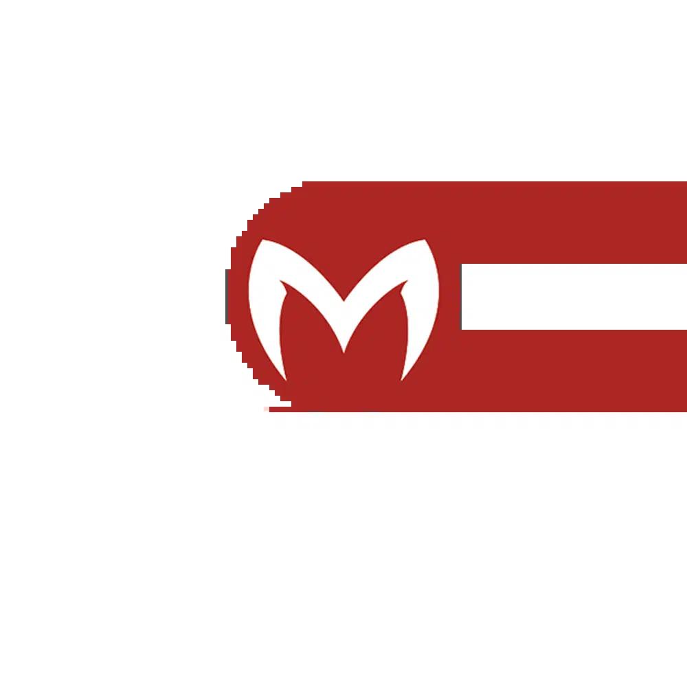 ค่ายเกมสล็อต g2g ค่ายเกมมาแรง แห่งปี 2024 เล่นง่าย จ่ายจริง